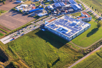 DBK David + Baader GmbH in Rülzheim in the state Rhineland-Palatinate, Germany viewn from the air