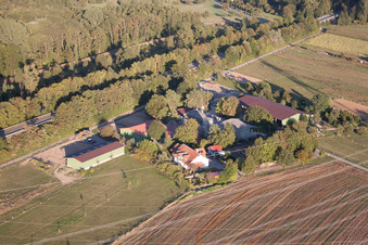 Brecht Horse Boarding in the district Huttenheim in Philippsburg in the state Baden-Wuerttemberg, Germany