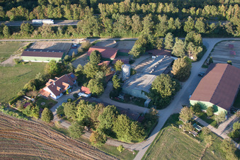 Brecht Horse Boarding in the district Huttenheim in Philippsburg in the state Baden-Wuerttemberg, Germany from above