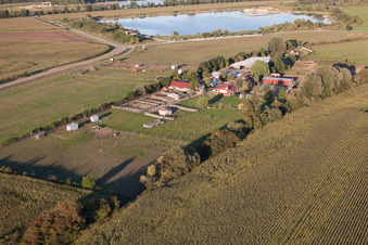 Aerial photograpy of Stork Farm in the district Rußheim in Dettenheim in the state Baden-Wuerttemberg, Germany