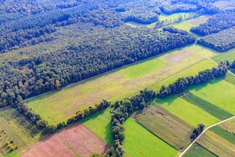 Model airfield of the model sports club Rülzheim eV in Rülzheim in the state Rhineland-Palatinate, Germany