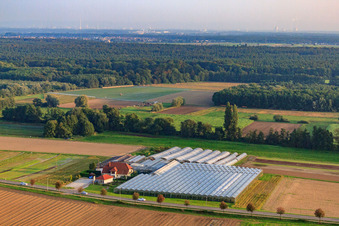 Aerial view of Sandhof with Rothenbücher nursery in Herxheim bei Landau in the state Rhineland-Palatinate, Germany