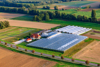 Aerial photograpy of Sandhof with Rothenbücher nursery in Herxheim bei Landau in the state Rhineland-Palatinate, Germany