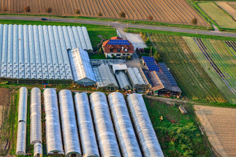 Oblique view of Sandhof with Rothenbücher nursery in Herxheim bei Landau in the state Rhineland-Palatinate, Germany