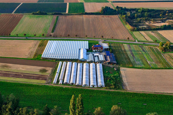 Sandhof with Rothenbücher nursery in Herxheim bei Landau in the state Rhineland-Palatinate, Germany from above