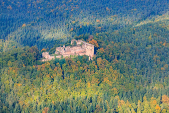 Oblique view of Neuscharfeneck Castle Ruins in Flemlingen in the state Rhineland-Palatinate, Germany