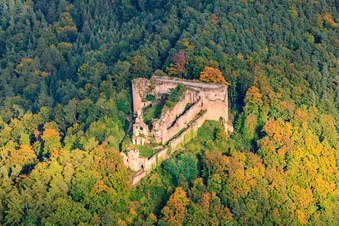 Neuscharfeneck Castle Ruins in Flemlingen in the state Rhineland-Palatinate, Germany out of the air
