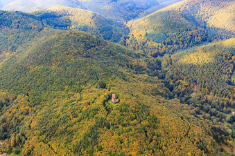 Ramburg Castle Ruins in Ramberg in the state Rhineland-Palatinate, Germany from above