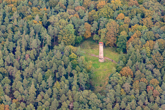 Ludwig Tower in Rhodt unter Rietburg in the state Rhineland-Palatinate, Germany from above
