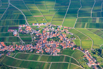 Wine-growing village between vineyards from the west in Weyher in der Pfalz in the state Rhineland-Palatinate, Germany