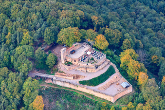 Rietburg Castle Ruins in Rhodt unter Rietburg in the state Rhineland-Palatinate, Germany from the drone perspective