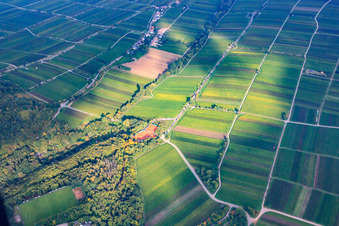 Tennis court of the TC Grün-Weiß Edenkoben 1929 eV in Edenkoben in the state Rhineland-Palatinate, Germany