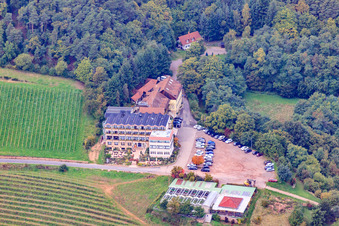 Aerial view of Arens Hotel 327m above sea level (formerly Hotel Haus am Weinberg) in the district SaintMartin in Sankt Martin in the state Rhineland-Palatinate, Germany