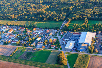 Aerial view of Industrial estate Am Oberen Griesweg with Riwald Electronics Recycling GmbH branch Lustadt in the district Niederlustadt in Lustadt in the state Rhineland-Palatinate, Germany
