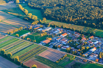 Aerial view of Industrial estate Auf d. Weide with Bora CNC and packaging technology and CK boat service in the district Niederlustadt in Lustadt in the state Rhineland-Palatinate, Germany