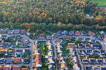South Ring in Rülzheim in the state Rhineland-Palatinate, Germany from a drone