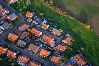 Spruce Path in Rülzheim in the state Rhineland-Palatinate, Germany