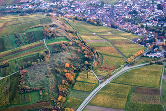 Aerial photograpy of Small Kalmit in Ilbesheim bei Landau in the state Rhineland-Palatinate, Germany