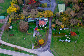 Sheep pasture by the forest in Insheim in the state Rhineland-Palatinate, Germany