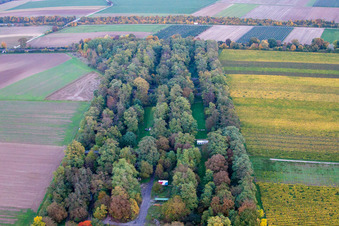 Aerial view of Palatina Archers in Insheim in the state Rhineland-Palatinate, Germany