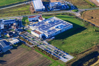 DBK David + Baader GmbH in Rülzheim in the state Rhineland-Palatinate, Germany from a drone