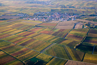 Bird's eye view of District Mörzheim in Landau in der Pfalz in the state Rhineland-Palatinate, Germany