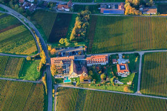 Drone recording of Hotel Leinsweiler Courtyard in Leinsweiler in the state Rhineland-Palatinate, Germany