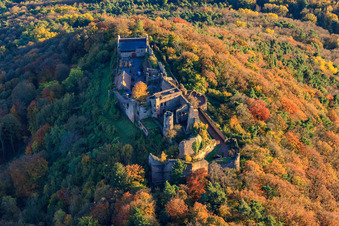 Aerial photograpy of Madenburg castle ruins in the autumn-colored forest in Eschbach in the state Rhineland-Palatinate, Germany