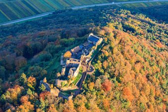 Oblique view of Madenburg castle ruins in the autumn-colored forest in Eschbach in the state Rhineland-Palatinate, Germany