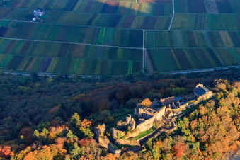 Madenburg castle ruins in the autumn-colored forest in Eschbach in the state Rhineland-Palatinate, Germany from above