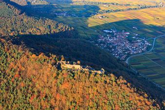 Madenburg castle ruins in the autumn-colored forest in Eschbach in the state Rhineland-Palatinate, Germany from the plane