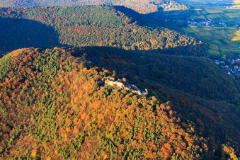 Bird's eye view of Madenburg castle ruins in the autumn-colored forest in Eschbach in the state Rhineland-Palatinate, Germany
