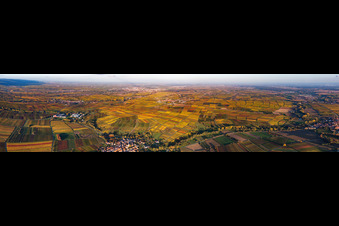 Panorama of the vineyards of the southern wine route from Heuchelheim to Landau in Göcklingen in the state Rhineland-Palatinate, Germany