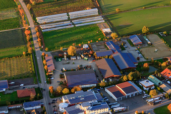 Vegetable shop Richard Eichenlaub, veterinarian Gabriele Eichenlaub and riding stable Eichenlaub in Herxheim bei Landau in the state Rhineland-Palatinate, Germany