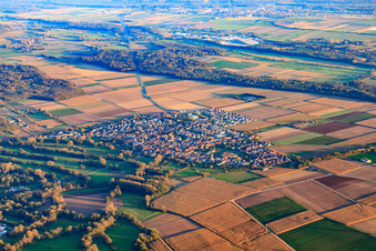 View of the town from the northwest in Steinweiler in the state Rhineland-Palatinate, Germany