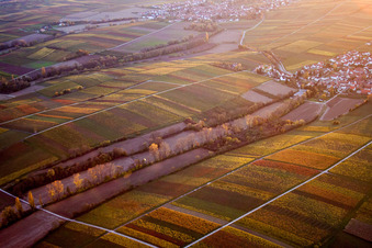 Structures on agricultural fields in the district Wollmesheim in Landau in der Pfalz in the state Rhineland-Palatinate