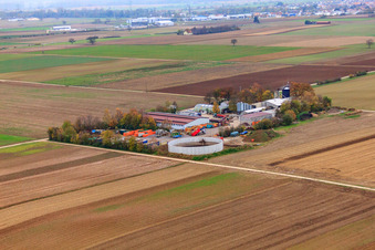 Aerial photograpy of Gardener - Services, container service, disposal, demolition and transport in Bellheim in the state Rhineland-Palatinate, Germany