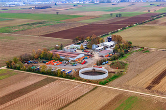 Oblique view of Gardener - Services, container service, disposal, demolition and transport in Bellheim in the state Rhineland-Palatinate, Germany