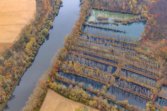 Flooded Rhine meadows at the Micheslbach/Altrhein in Hördt in the state Rhineland-Palatinate, Germany
