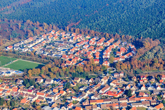 Settlement in the forest on Wiesentaler Allee in the district Huttenheim in Philippsburg in the state Baden-Wuerttemberg, Germany