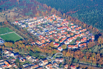 Aerial view of Settlement in the forest on Wiesentaler Allee in the district Huttenheim in Philippsburg in the state Baden-Wuerttemberg, Germany
