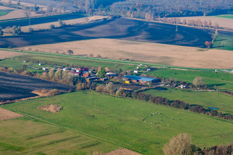 Oblique view of Stork Farm in the district Rußheim in Dettenheim in the state Baden-Wuerttemberg, Germany