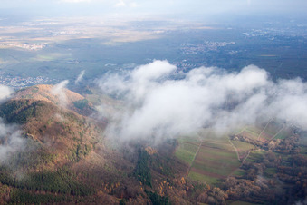 Bird's eye view of Birkweiler in the state Rhineland-Palatinate, Germany
