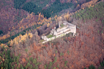 Ruins and vestiges of the former castle and fortress castle Neuscharfeneck in autumn - indian summer in Flemlingen in the state Rhineland-Palatinate