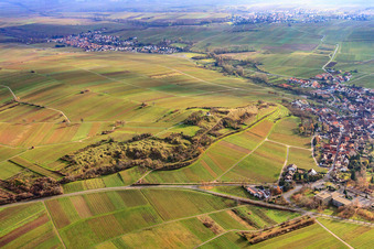 Kleine Kalmit nature reserve in winter from the north in the district Arzheim in Landau in der Pfalz in the state Rhineland-Palatinate, Germany
