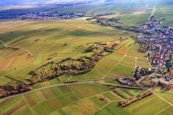 Aerial view of Kleine Kalmit nature reserve in winter from the north in the district Arzheim in Landau in der Pfalz in the state Rhineland-Palatinate, Germany