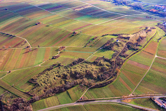 Aerial photograpy of Kleine Kalmit nature reserve in winter from the north in the district Arzheim in Landau in der Pfalz in the state Rhineland-Palatinate, Germany