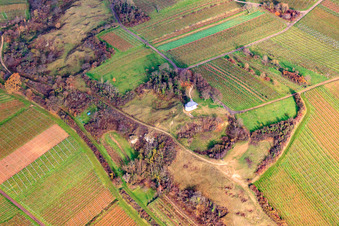 Aerial photograpy of Chapel "Kleine Kalmit" in the nature reserve Kleine Kalmit in winter from the north in the district Arzheim in Landau in der Pfalz in the state Rhineland-Palatinate, Germany