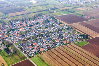 Aerial view of Goethestr in the district Niederlustadt in Lustadt in the state Rhineland-Palatinate, Germany