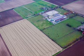 Drone recording of Ottersheim bei Landau in the state Rhineland-Palatinate, Germany